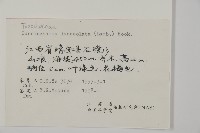 杉木藏品圖，第2張