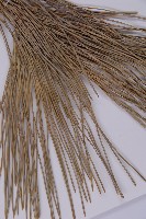 黑松藏品圖，第5張