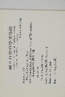 黑松藏品圖，第2張