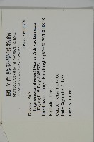 臺灣鐵杉藏品圖，第2張