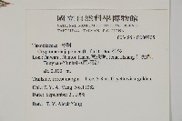 柳杉藏品圖，第2張