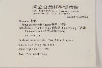 臺灣二葉松藏品圖，第2張