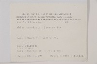 臺灣冷杉藏品圖，第2張