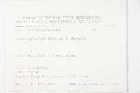 杉木藏品圖，第2張