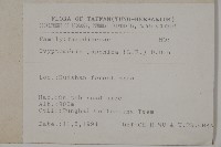 柳杉藏品圖，第2張