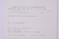 刺柏藏品圖，第2張