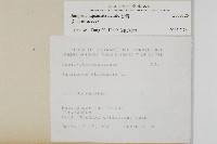 香青藏品圖，第2張