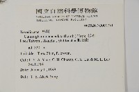 杉木藏品圖，第2張