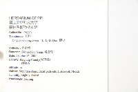 柳杉藏品圖，第2張