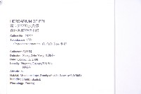 柳杉藏品圖，第2張