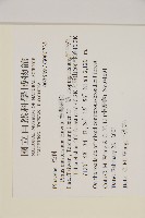 台灣果松藏品圖，第2張