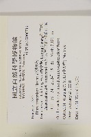 台灣果松藏品圖，第2張