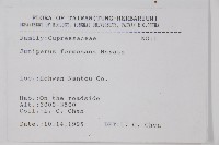 刺柏藏品圖，第2張