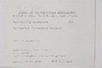 刺柏藏品圖，第2張