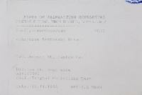 刺柏藏品圖，第2張