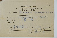 圓柏藏品圖，第2張