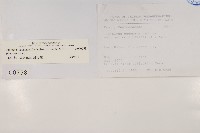 香青藏品圖，第2張