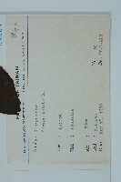 銀杏藏品圖，第2張