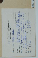 銀杏藏品圖，第2張