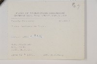 琉球松藏品圖，第2張