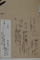 桃實百日青藏品圖，第2張