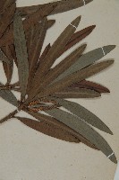 登錄號:G000774藏品圖，第3張