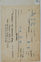 臺灣鐵杉藏品圖，第2張