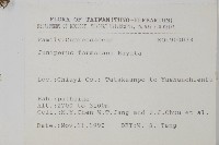 刺柏藏品圖，第2張