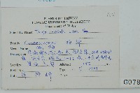 側柏藏品圖，第2張