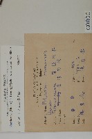 竹柏藏品圖，第2張