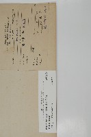 桃實百日青藏品圖，第2張