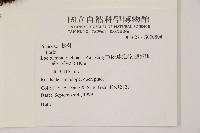登錄號:G000804藏品圖，第2張