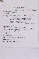 臺灣扁柏藏品圖，第2張