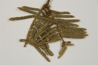 登錄號:G000809藏品圖，第3張