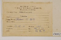 臺灣冷杉藏品圖，第2張