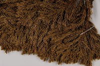 香青藏品圖，第4張