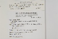 清水圓柏藏品圖，第2張