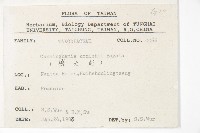 杉木藏品圖，第2張