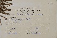 杉木藏品圖，第2張