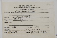 杉木藏品圖，第2張