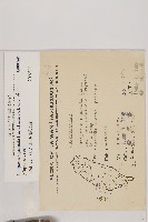 香青藏品圖，第2張