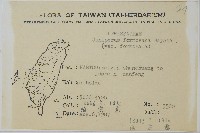 刺柏藏品圖，第2張