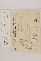香青藏品圖，第2張