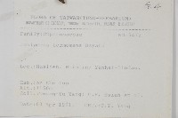 刺柏藏品圖，第2張