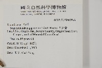 世界爺藏品圖，第2張