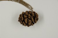 世界爺藏品圖，第3張