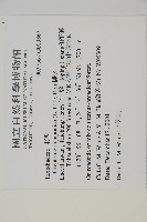 柳杉藏品圖，第2張