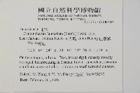 杉木藏品圖，第2張