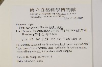 臺灣二葉松藏品圖，第2張