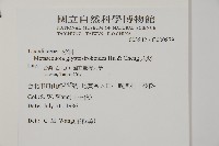 水杉藏品圖，第2張